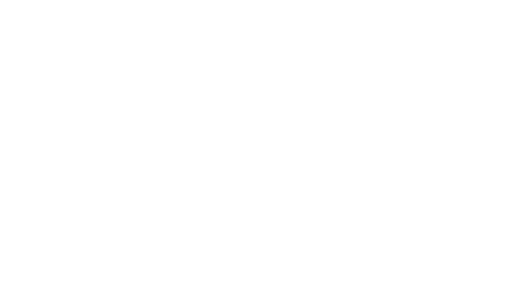 SnelCert - logo_wit